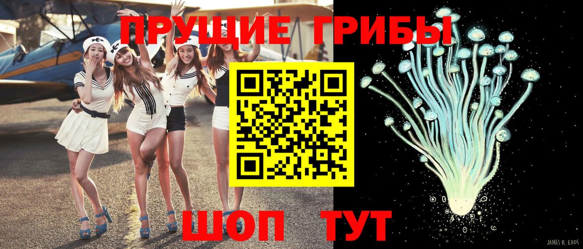 Галлюциногенные грибы мицелий Волхов