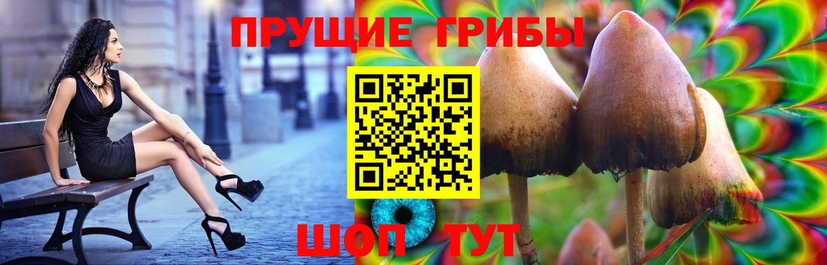 Галлюциногенные грибы прущие грибы  Вход с VPN  Волхов 